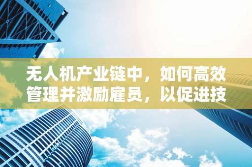 无人机产业链中，如何高效管理并激励雇员，以促进技术创新与市场拓展？