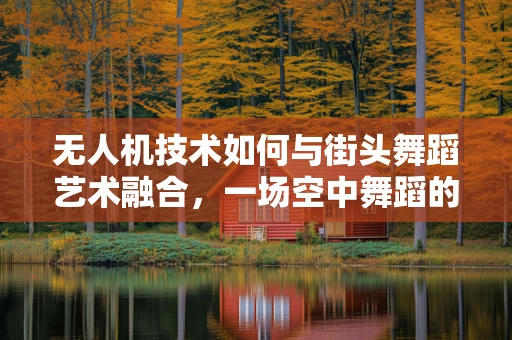 无人机技术如何与街头舞蹈艺术融合，一场空中舞蹈的设想与实现