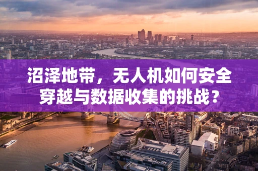 沼泽地带，无人机如何安全穿越与数据收集的挑战？