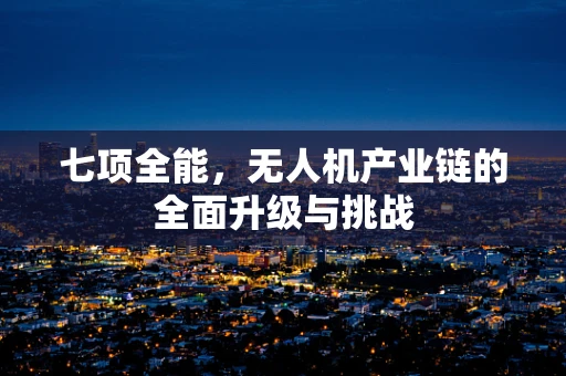七项全能，无人机产业链的全面升级与挑战