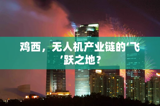 鸡西，无人机产业链的‘飞’跃之地？