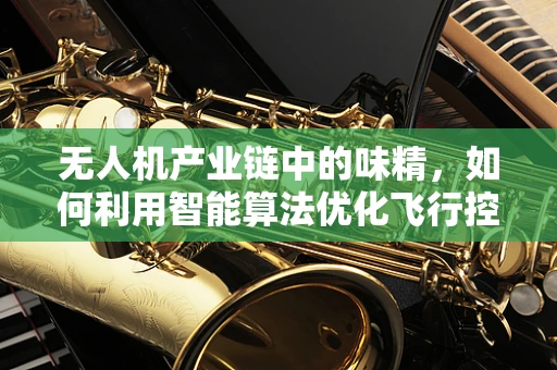 无人机产业链中的味精，如何利用智能算法优化飞行控制？
