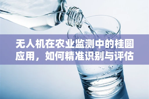 无人机在农业监测中的桂圆应用，如何精准识别与评估？