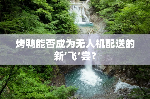 烤鸭能否成为无人机配送的新‘飞’尝？