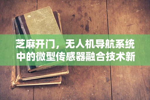 芝麻开门，无人机导航系统中的微型传感器融合技术新挑战
