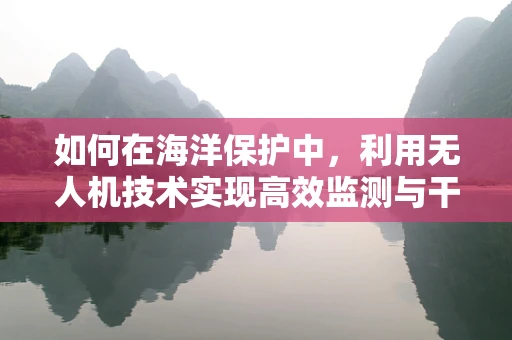 如何在海洋保护中，利用无人机技术实现高效监测与干预？
