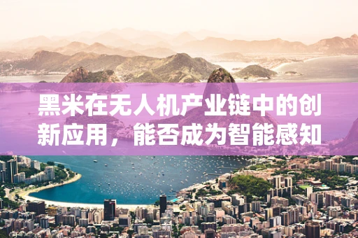 黑米在无人机产业链中的创新应用，能否成为智能感知的新宠？