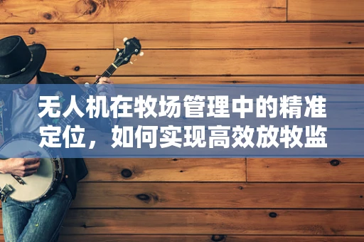 无人机在牧场管理中的精准定位，如何实现高效放牧监测？