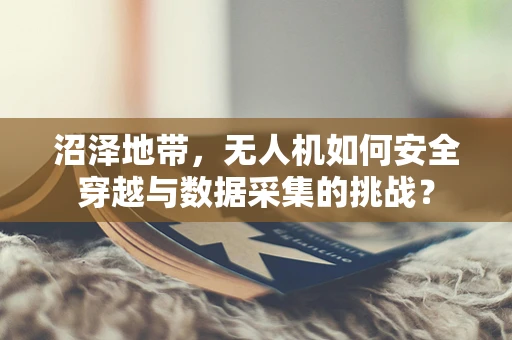 沼泽地带，无人机如何安全穿越与数据采集的挑战？