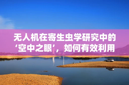 无人机在寄生虫学研究中的‘空中之眼’，如何有效利用其进行高效监测？