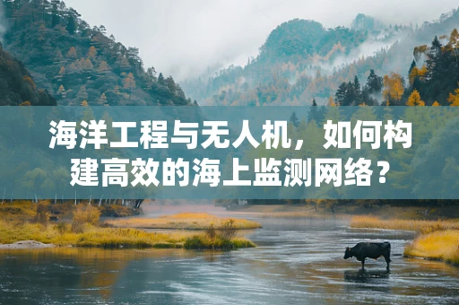 海洋工程与无人机，如何构建高效的海上监测网络？