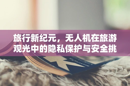 旅行新纪元，无人机在旅游观光中的隐私保护与安全挑战
