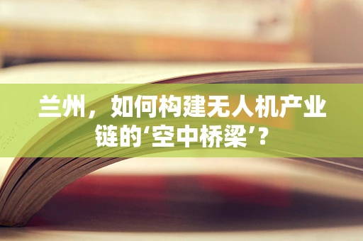 兰州，如何构建无人机产业链的‘空中桥梁’？