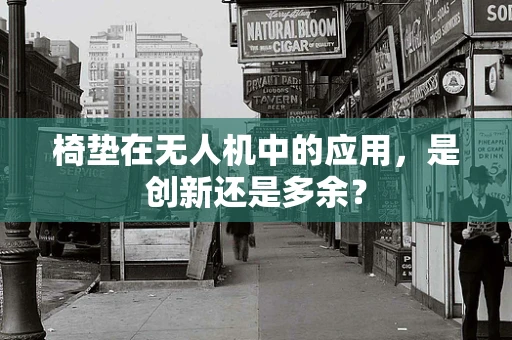 椅垫在无人机中的应用，是创新还是多余？