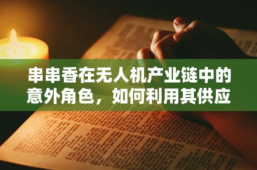 串串香在无人机产业链中的意外角色，如何利用其供应链优化飞行器组件管理？