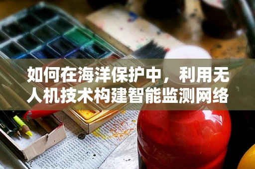 如何在海洋保护中，利用无人机技术构建智能监测网络？
