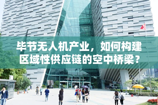 毕节无人机产业，如何构建区域性供应链的空中桥梁？