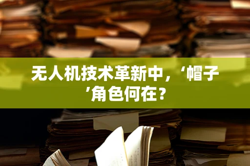 无人机技术革新中，‘帽子’角色何在？
