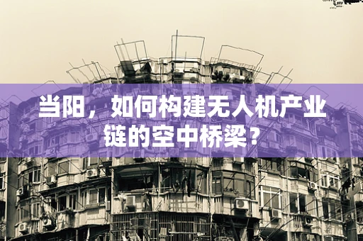 当阳，如何构建无人机产业链的空中桥梁？