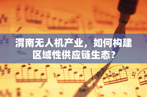 渭南无人机产业，如何构建区域性供应链生态？