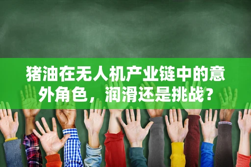 猪油在无人机产业链中的意外角色，润滑还是挑战？