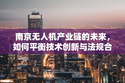南京无人机产业链的未来，如何平衡技术创新与法规合规？