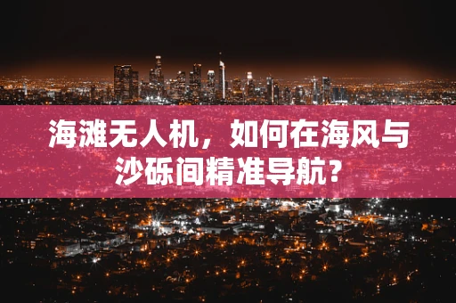 海滩无人机，如何在海风与沙砾间精准导航？