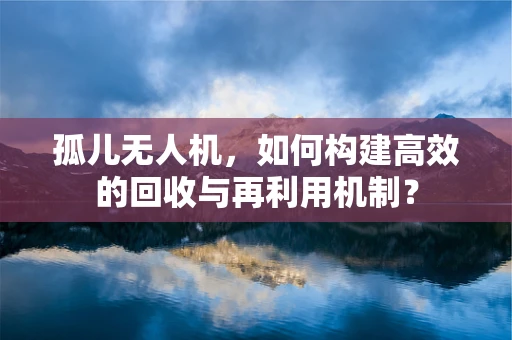 孤儿无人机，如何构建高效的回收与再利用机制？