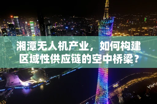 湘潭无人机产业，如何构建区域性供应链的空中桥梁？