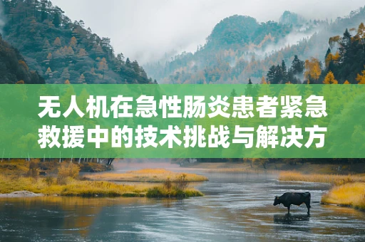 无人机在急性肠炎患者紧急救援中的技术挑战与解决方案