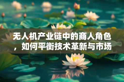 无人机产业链中的商人角色，如何平衡技术革新与市场需求的桥梁？