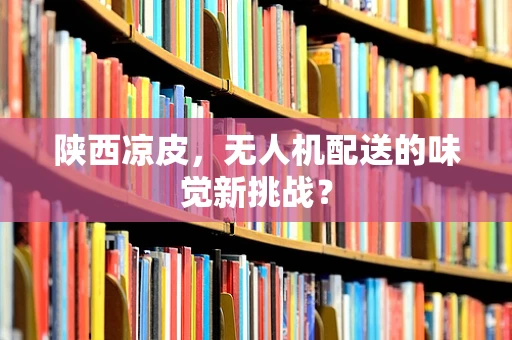 陕西凉皮，无人机配送的味觉新挑战？