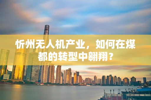 忻州无人机产业，如何在煤都的转型中翱翔？