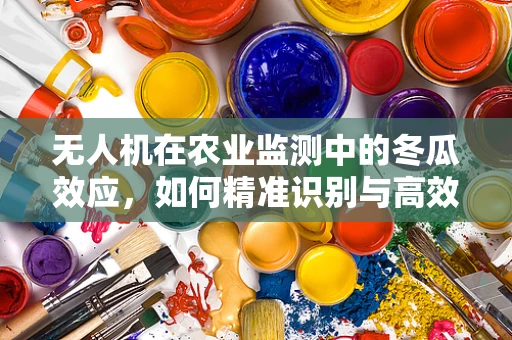 无人机在农业监测中的冬瓜效应，如何精准识别与高效管理？