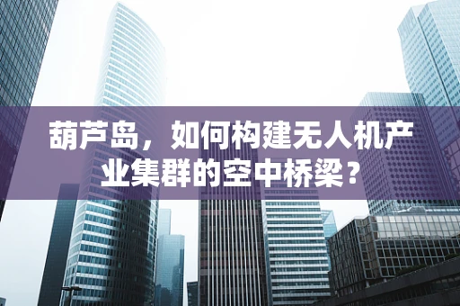 葫芦岛，如何构建无人机产业集群的空中桥梁？