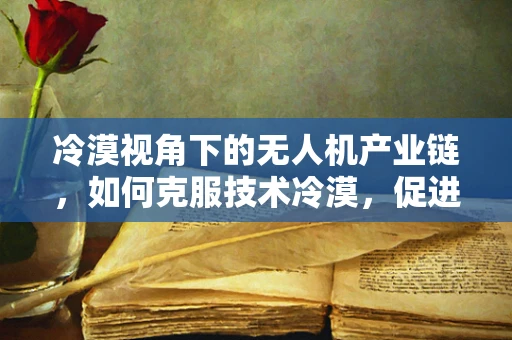 冷漠视角下的无人机产业链，如何克服技术冷漠，促进产业融合？