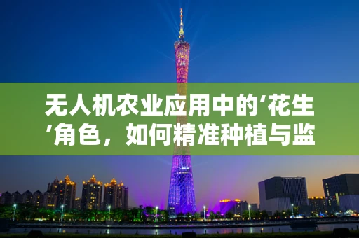 无人机农业应用中的‘花生’角色，如何精准种植与监测？