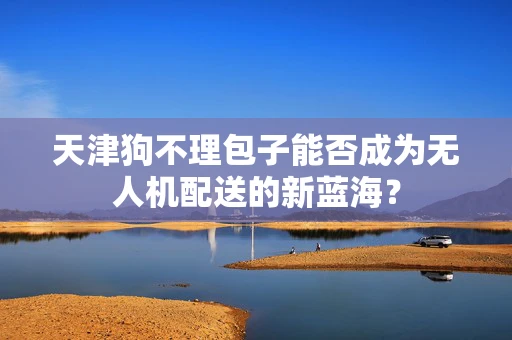 天津狗不理包子能否成为无人机配送的新蓝海？
