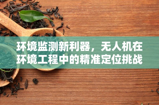 环境监测新利器，无人机在环境工程中的精准定位挑战