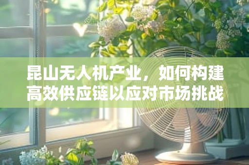 昆山无人机产业，如何构建高效供应链以应对市场挑战？
