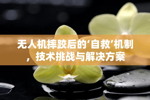 无人机摔跤后的‘自救’机制，技术挑战与解决方案