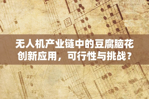 无人机产业链中的豆腐脑花创新应用，可行性与挑战？