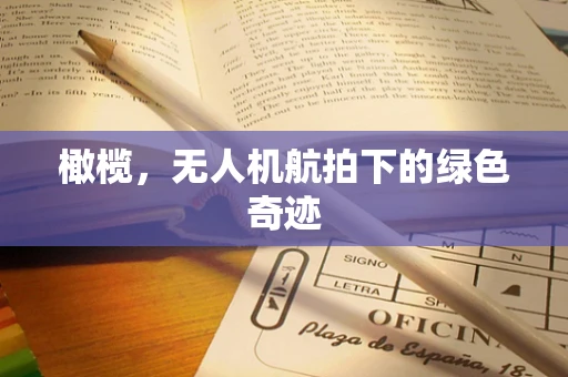 橄榄，无人机航拍下的绿色奇迹