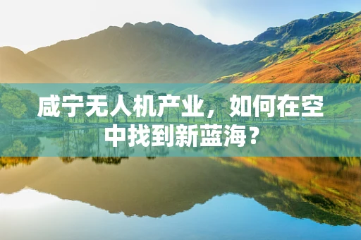 咸宁无人机产业，如何在空中找到新蓝海？