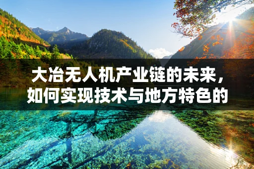 大冶无人机产业链的未来，如何实现技术与地方特色的深度融合？