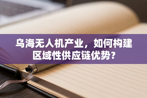 乌海无人机产业，如何构建区域性供应链优势？
