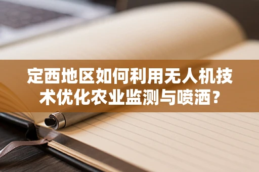 定西地区如何利用无人机技术优化农业监测与喷洒？