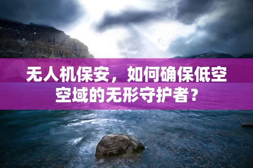 无人机保安，如何确保低空空域的无形守护者？