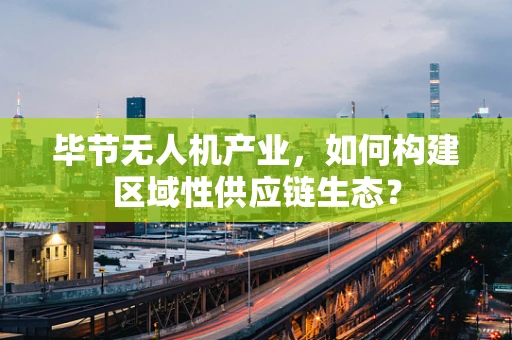 毕节无人机产业，如何构建区域性供应链生态？