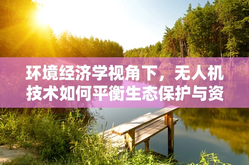 环境经济学视角下，无人机技术如何平衡生态保护与资源监测？